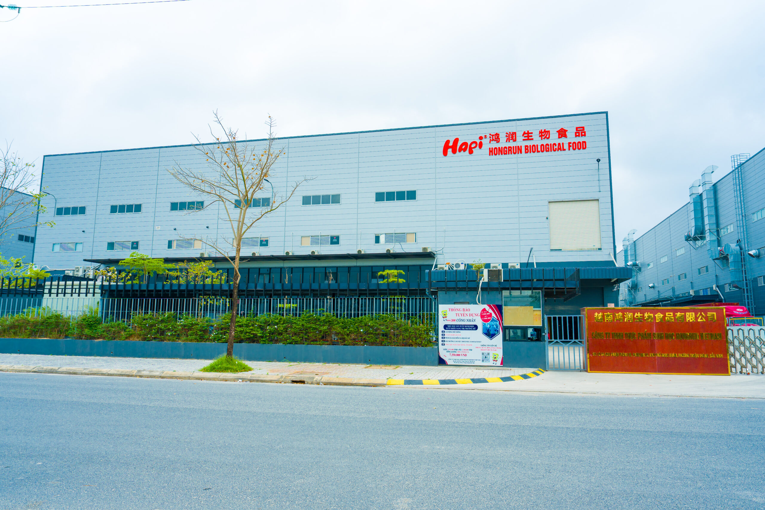 company profile